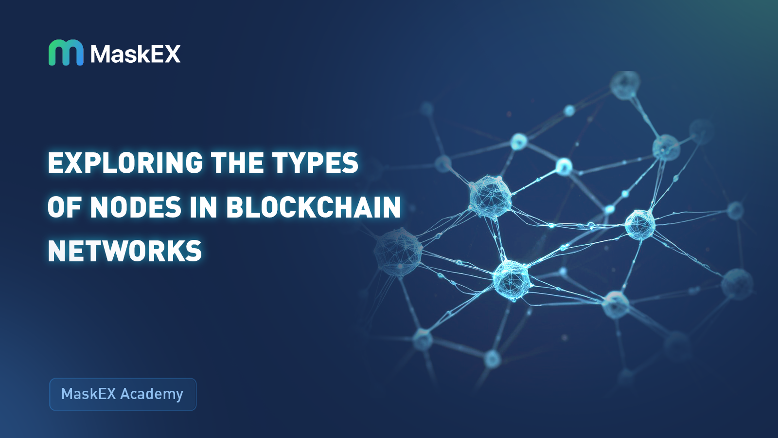 Exploring the Types of Nodes in Blockchain Networks