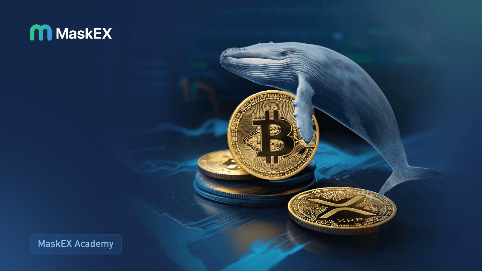 What’s Next for Crypto