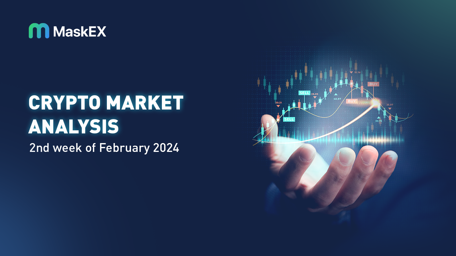 Crypto Market Analysis : 2nd Week of February 2024