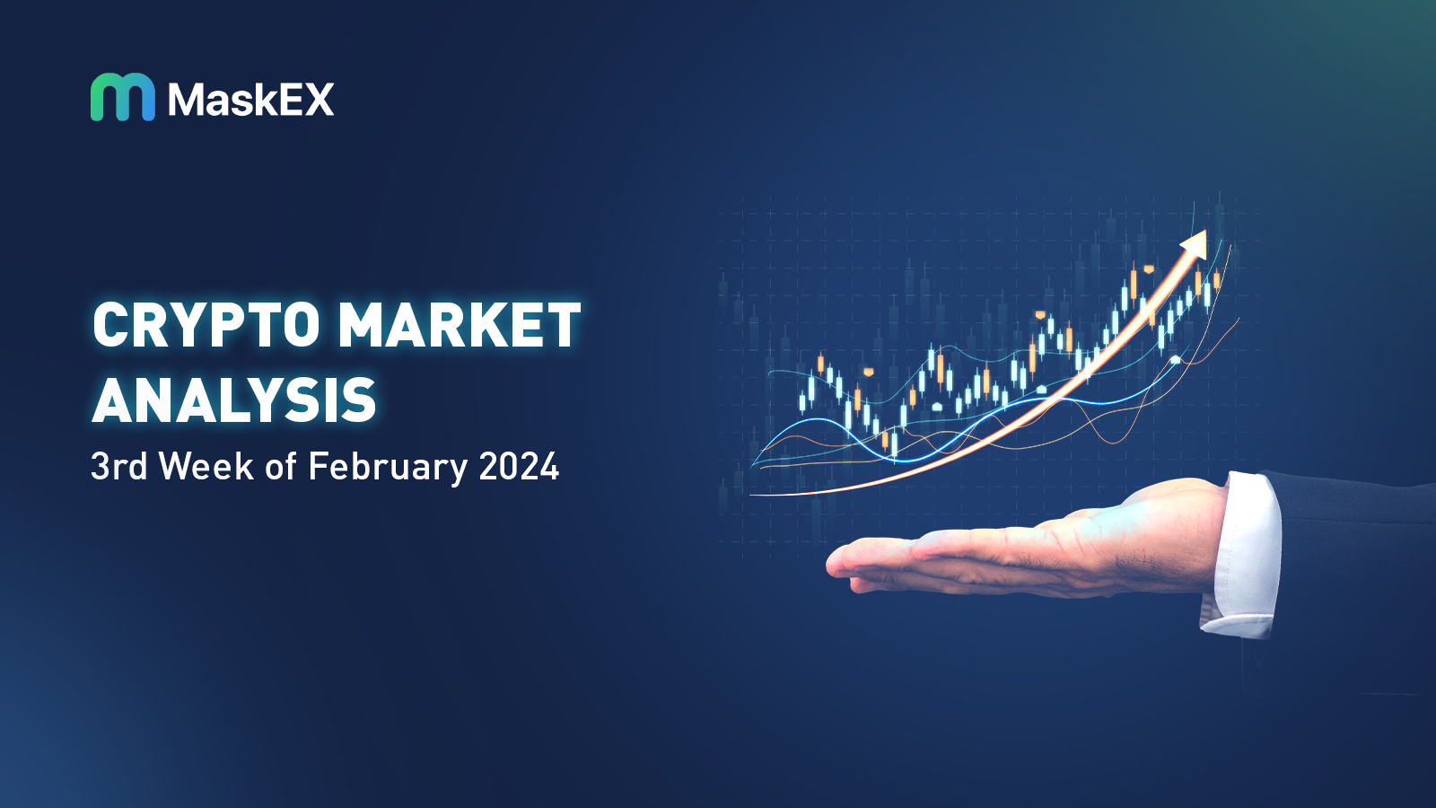 Crypto Market Analysis : 3rd Week of February 2024